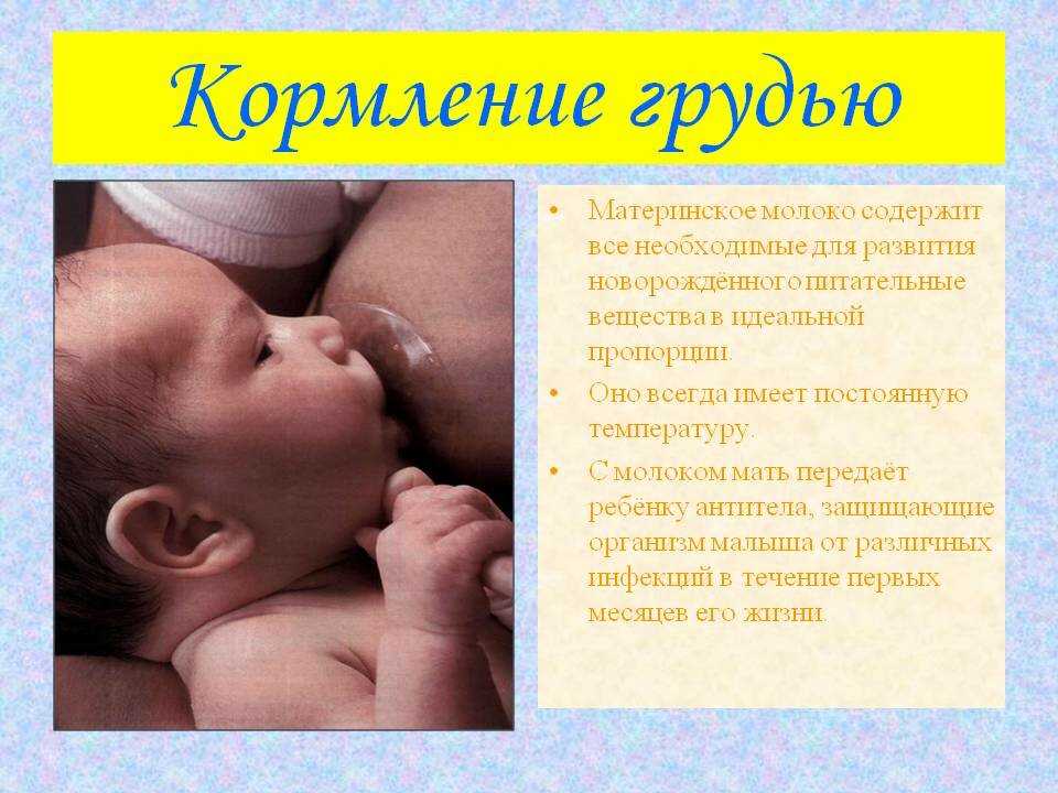 Новорожденный сколько ест грудное молоко
