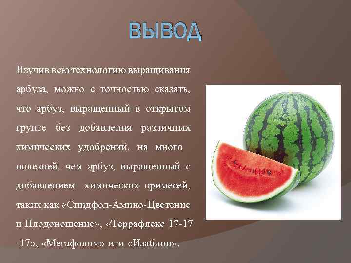 Проект выращивание арбуза