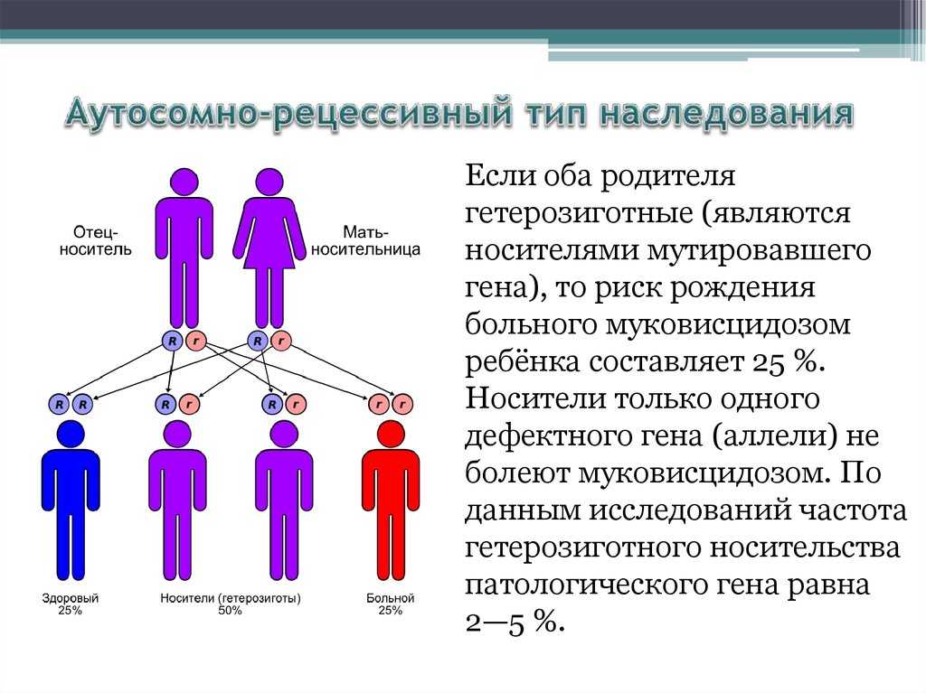 Участники наследственных отношений схема