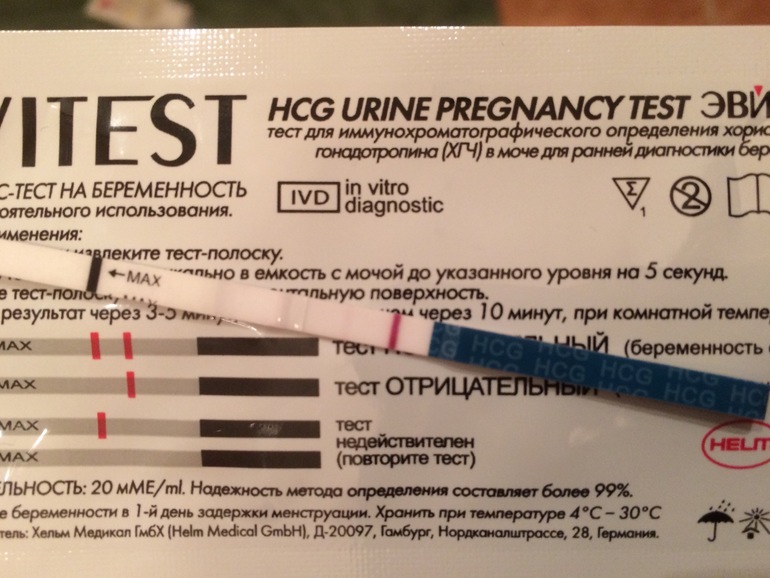 Тест на беременность на 9 день после зачатия