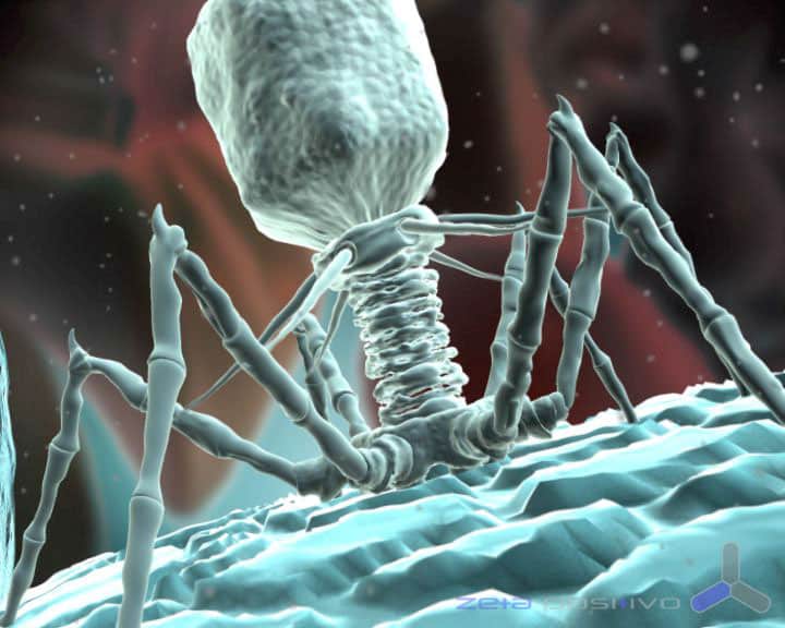 Вирусы под микроскопом фото для детей