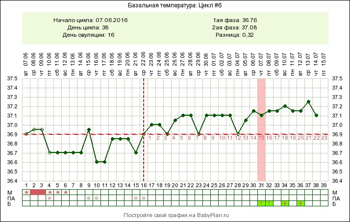 Температура во втором триместре. БТ 37,2. График базальной температуры если произошло зачатие. График базальной температуры при беременности. График базальной температуры без овуляции.