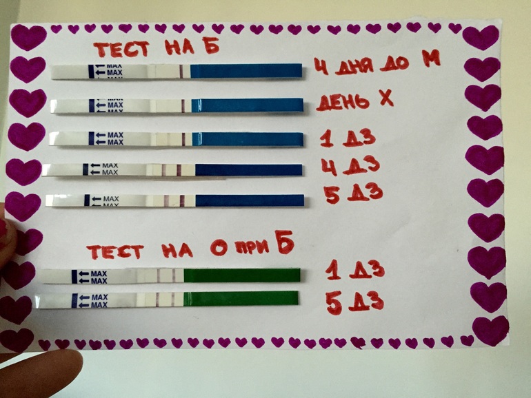 Недельное тесто. Тесты на беременность по дням. Тестина беременность по дням. Результаты теста на беременность по дням. Тест на беременность по неделям.