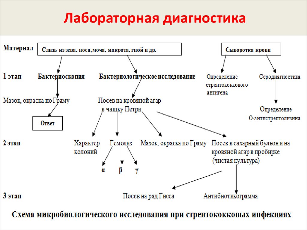 Стрептококк схема лечения