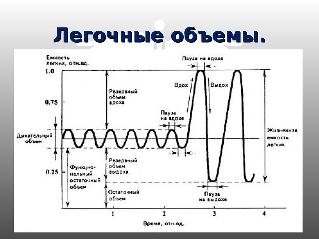 Рассмотрите рисунок с изображением функционального деления общей емкости легких как называется