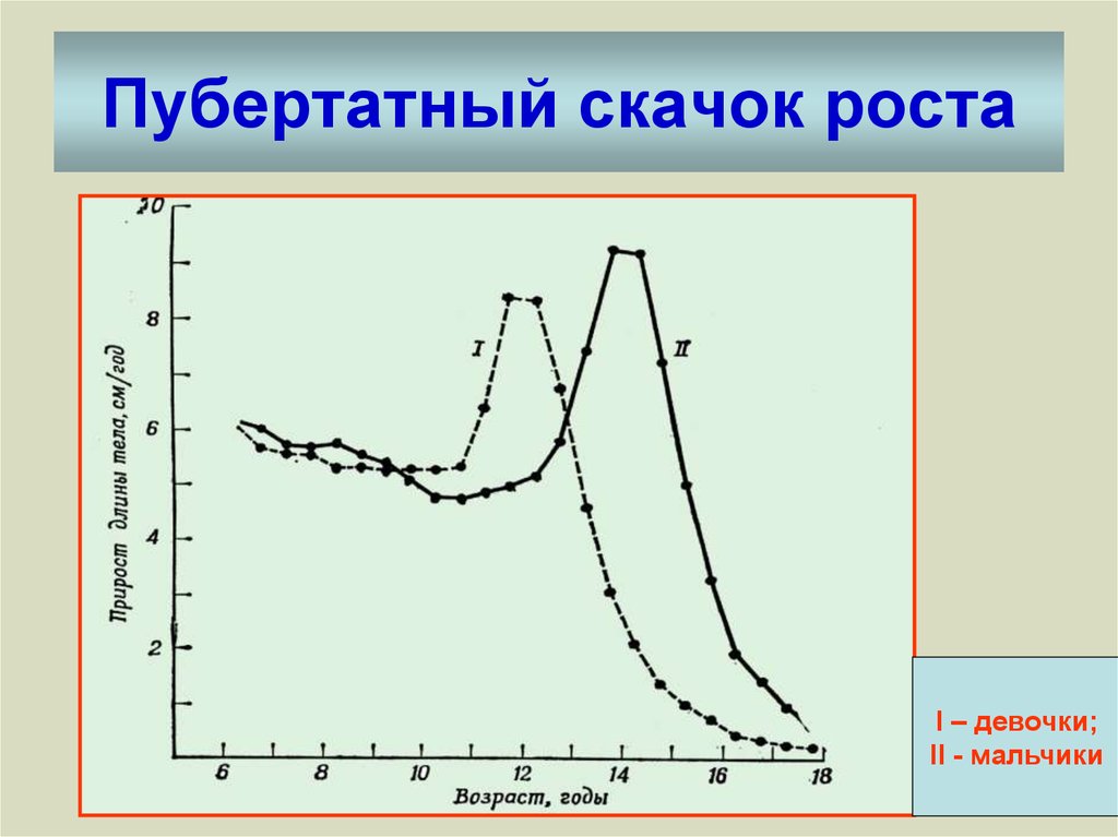 Как происходит рост. Пубертатный скачок роста. Скачок роста у подростков мальчиков. Пубертатный скачок роста наблюдается. Пубертатный скачок роста у мальчиков.