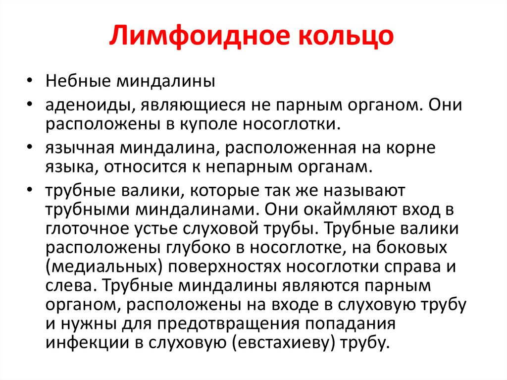 Пирогово кольцо. Глоточное лимфоидное кольцо образовано. Лимфаденоидное кольцо. Лимфаденоидное глоточное кольцо функции.