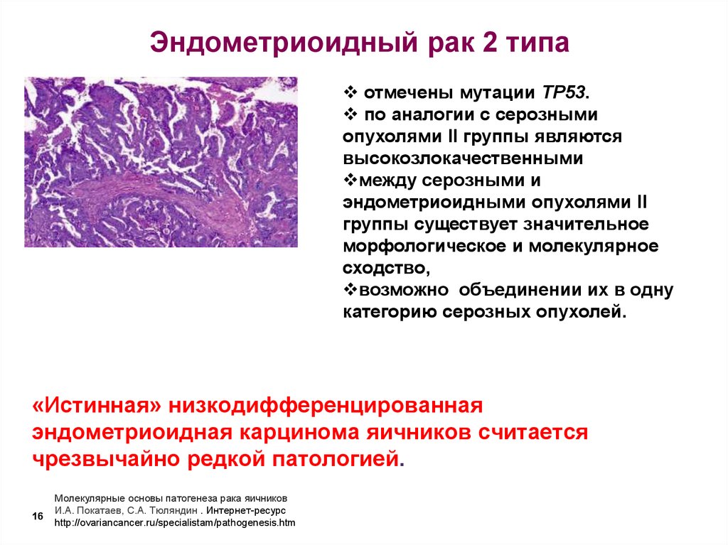 Рак какая группа