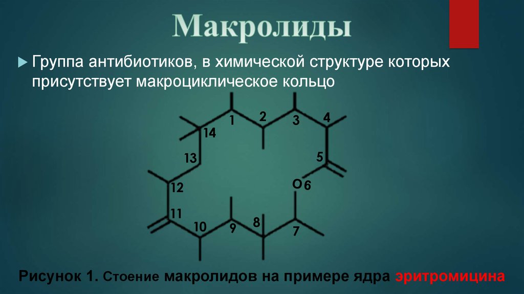 К группе макролидов относится препарат