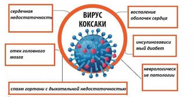 Вирус коксаки лечение. Вирус Коксаки строение вируса. Вирус Коксаки клинические проявления. Вирус Коксаки специфическая профилактика.