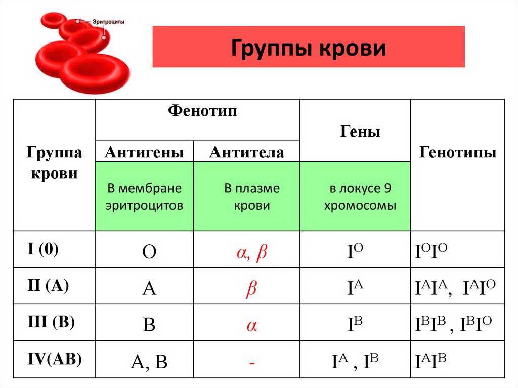 Проанализируйте диаграмму содержание вещества x в клетках кишечной палочки нормального генотипа