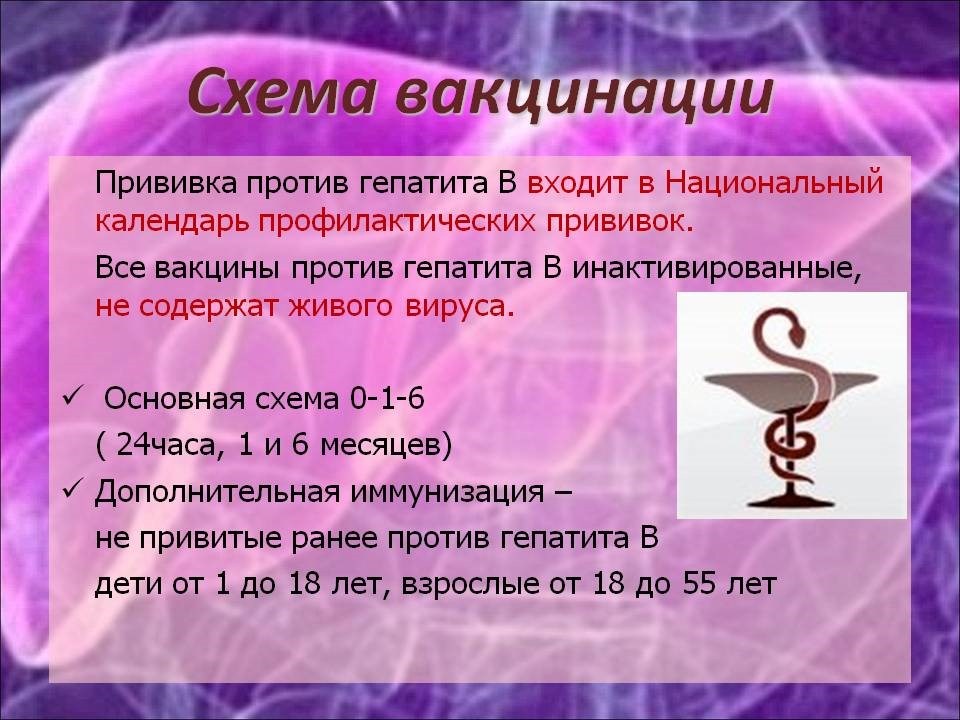 Вакцинация от гепатита в взрослым схема вакцинации