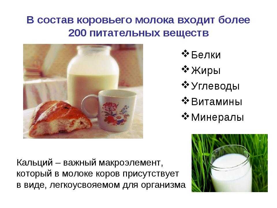 Какой состав молока коровьего