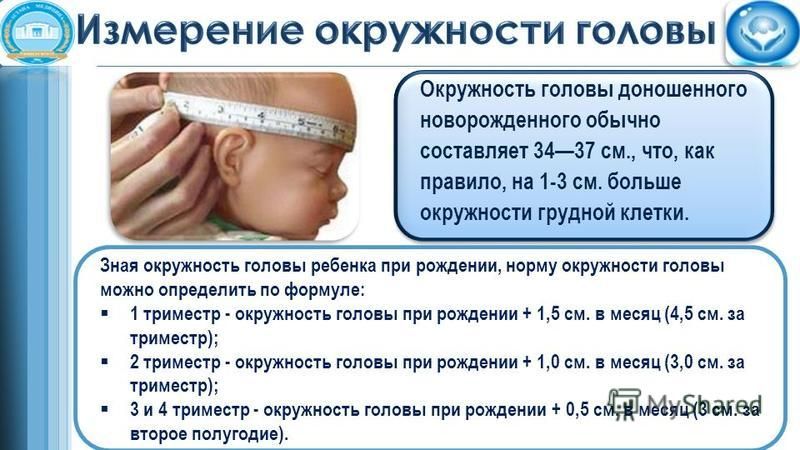 Затылок норма. Измерение окружности головы у новорожденных. Обхват головы при рождении ребенка. Окрулерсть головы новорождённого. Окружность головы доношенного новорожденного.