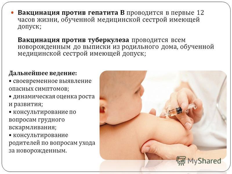 Введение вакцины гепатит в. Вакцинация против гепатита в проводится. Вакцинация против гепатита в новорожденным. Вакцинация от туберкулеза. Вакцинация против туберкулеза проводится новорожденным на.