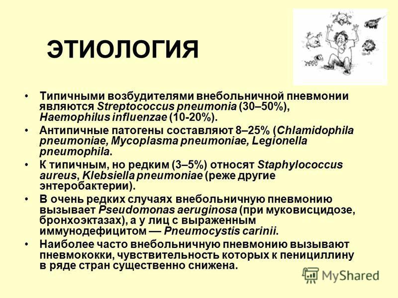 Внебольничная пневмония возбудители. Типичные возбудители внебольничной пневмонии. Типичным возбудителем внебольничной пневмонии является. Основным возбудителем внебольничной пневмонии является. Возбудителями внебольничной пневмонии являются.