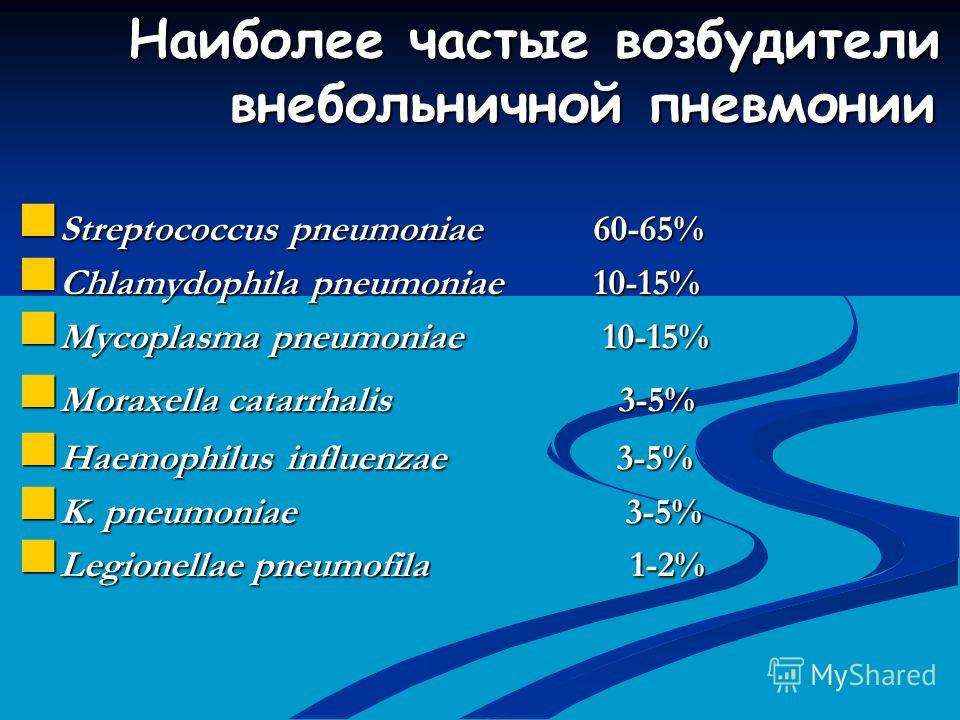 Возбудитель пневмонии. Частые возбудители внебольничной пневмонии. Наиболее частый возбудитель пневмонии. Наиболее частый возбудитель внебольничной пневмонии. Наиболее частый вощбудителей внебольнмчной пневмнии.