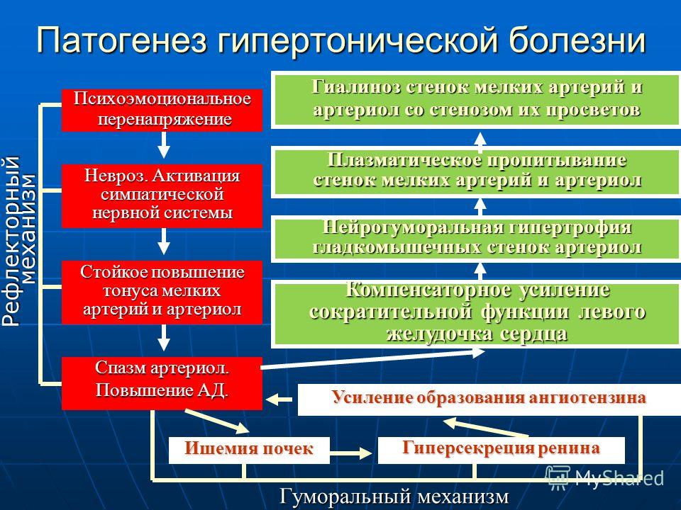 Климактерическая артериальная гипертензия этиология патогенез клиническая картина лечение