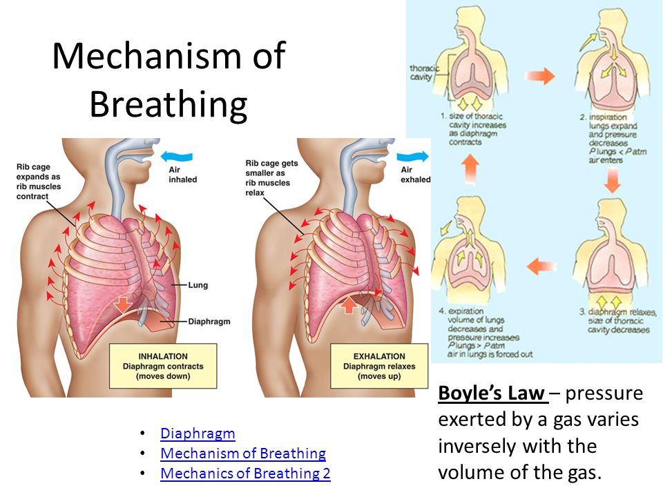 Air breathing перевод