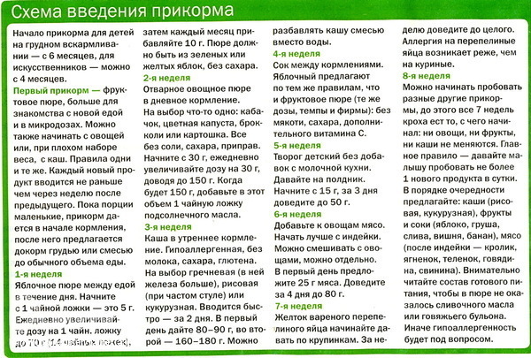 Схема прикорма с 6 месяцев при грудном вскармливании по дням