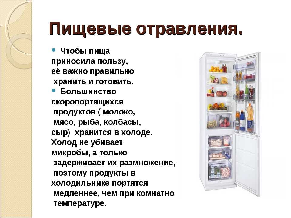 Реализация скоропортящихся пищевых. Холодильник для хранения скоропортящихся товаров. Правила хранения продуктов. Хранение продуктов в холодильнике. Сроки хранения скоропортящихся продуктов.