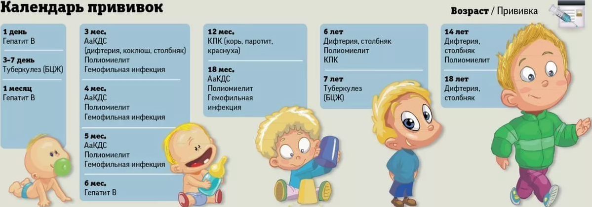 Сколько прививок ставят ребенку