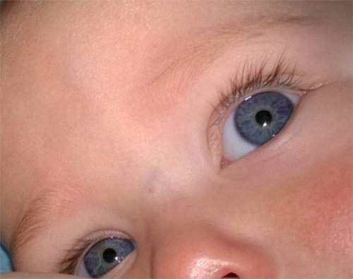 Белки глаз новорожденного. Глаза новорожденного. Глаза у новорожденных детей. Синяя переносица у новорожденных. Синие глаза у новорожденных.