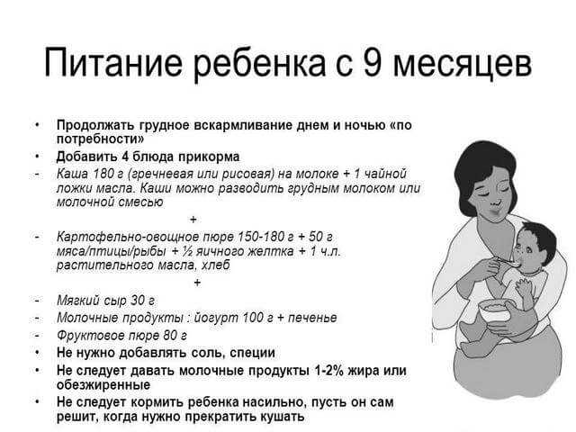 Мин гв. 9 Месяцев рацион питания ребенка при грудном вскармливании. Меню ребёнка в 9 месяцев на грудном вскармливании на день. Что должен есть ребёнок в 9 месяцев на грудном вскармливании. Рацион питания ребёнка в 9 месяцев на искусственном вскармливании.