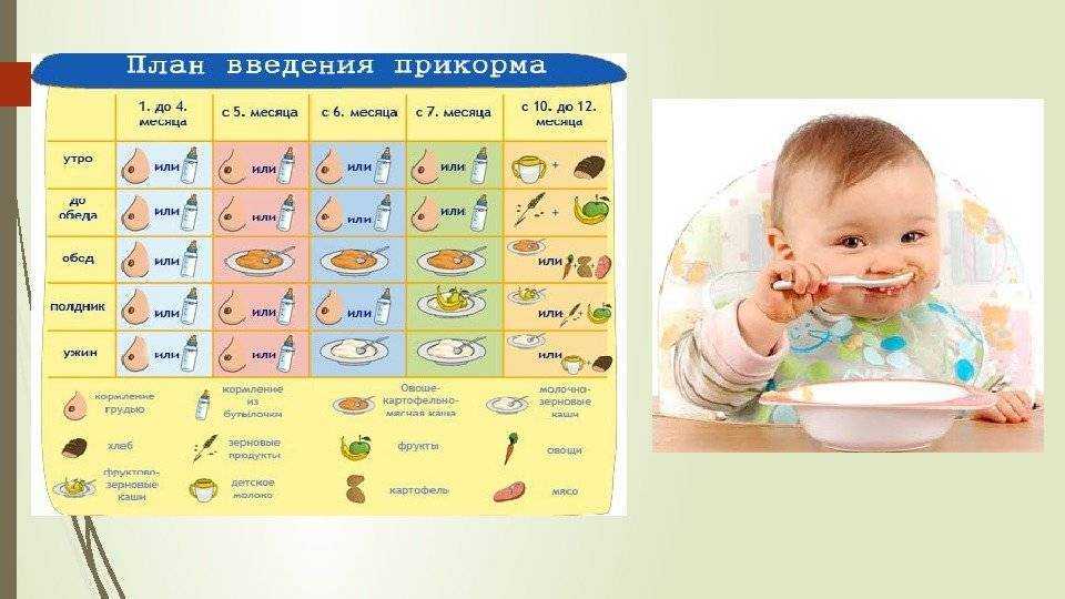 Можно ли пиццу при грудном вскармливании комаровский