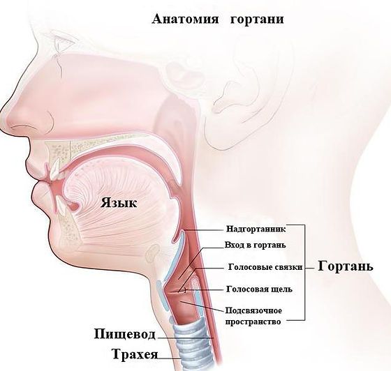 Химиотерапия горла