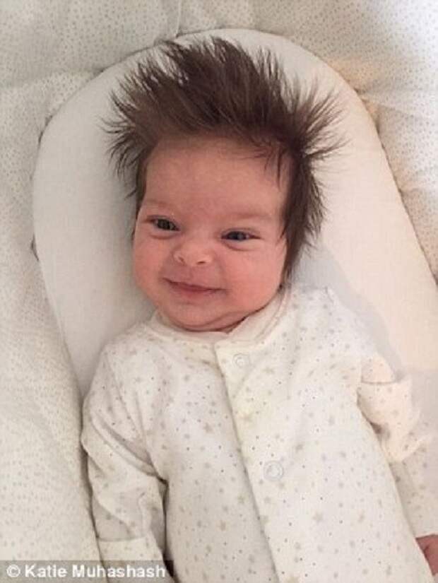 Могут ли дети родиться с волосами. Новорожденный ЧС волосами. Новорожденные с прической. Новорожденные с волосами.