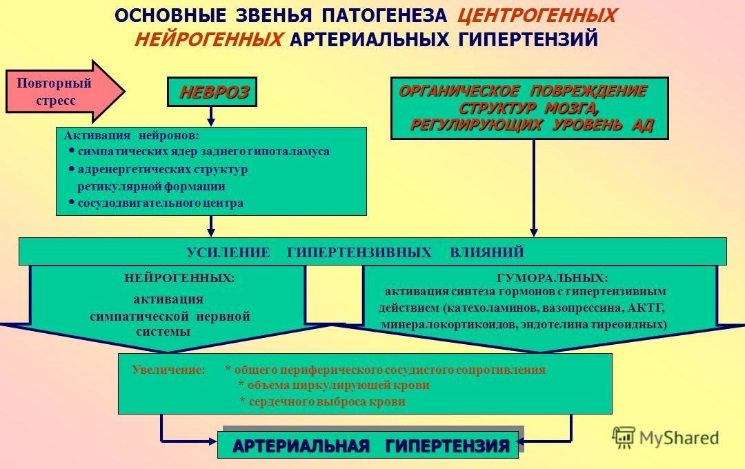 Климактерическая артериальная гипертензия этиология патогенез клиническая картина лечение