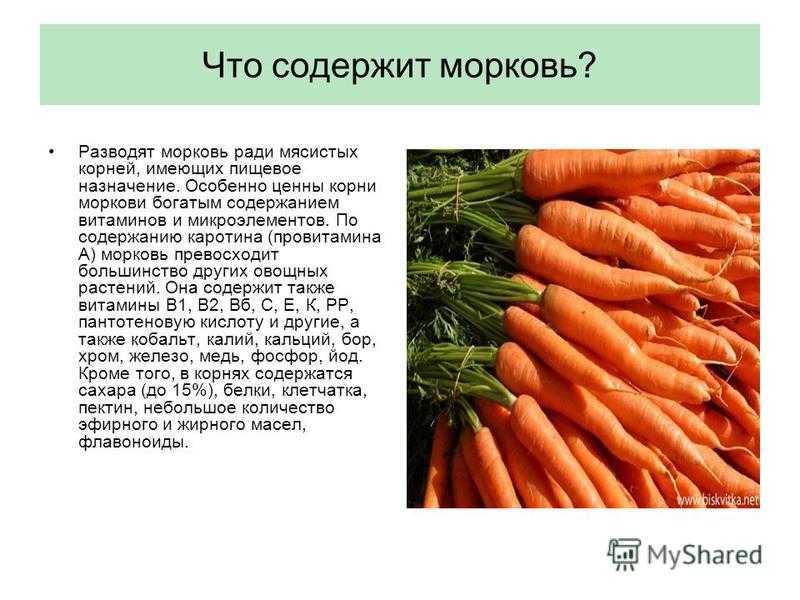 Морковь относится к группе. Витамины в моркови. Витамины содержащиеся в морковке. Морковь витамины содержит. Морковь богата витамином.