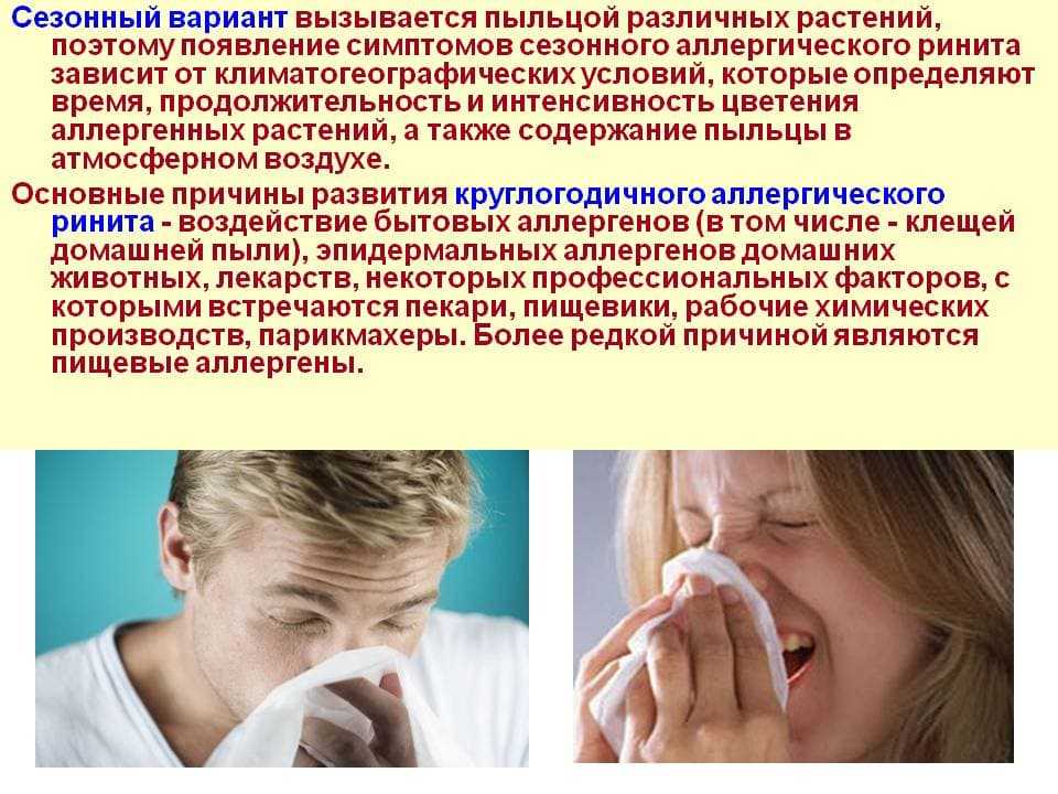 Как лечить сильное чихание и насморк. Сезонный и круглогодичный аллергический ринит. Аллергический ринит симптомы. Аллергический ринит насморк чихание.