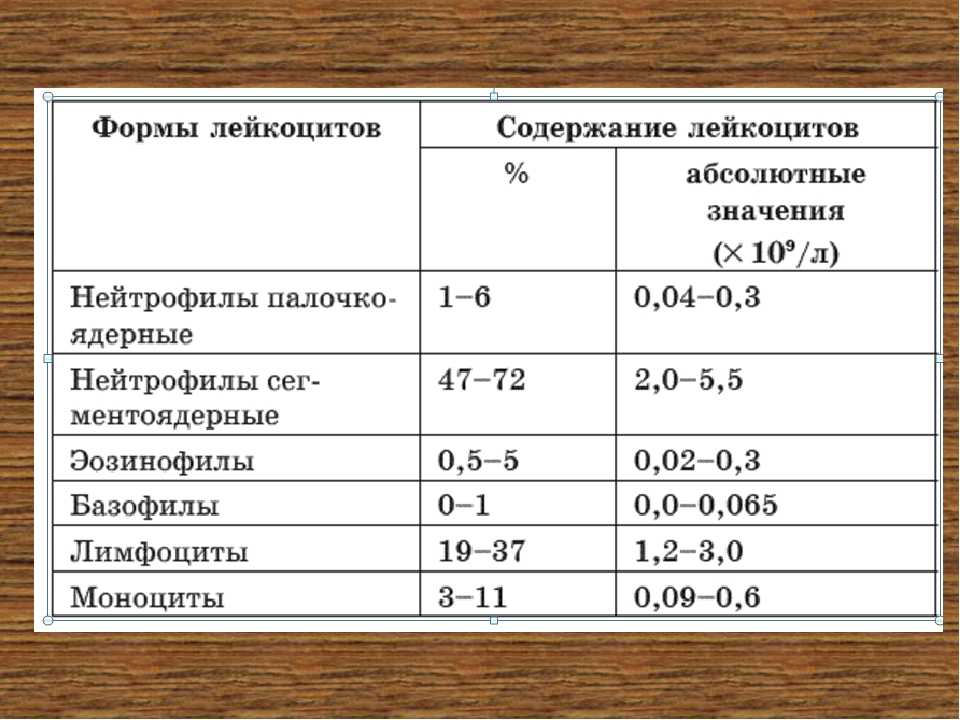 5 лет повышены лейкоциты