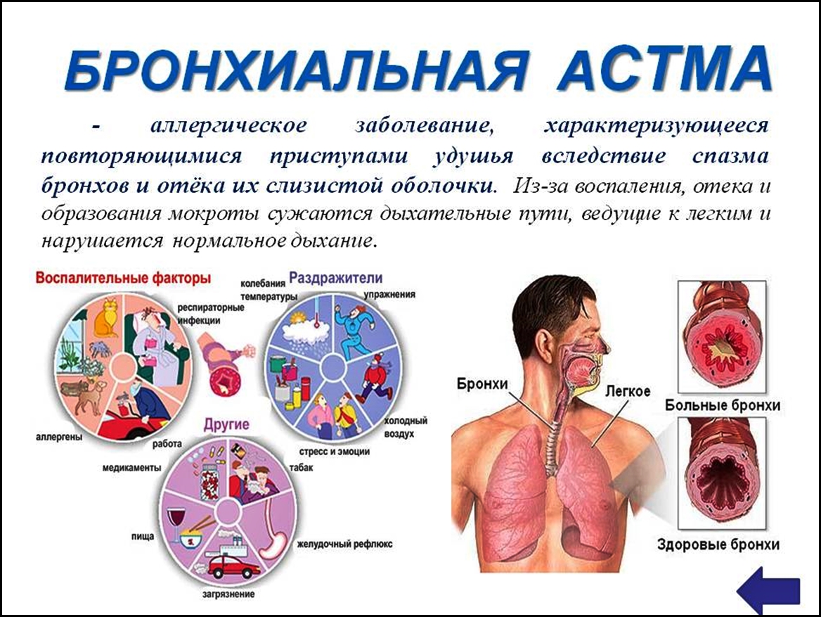 Болезни органов дыхания бронхиальная астма