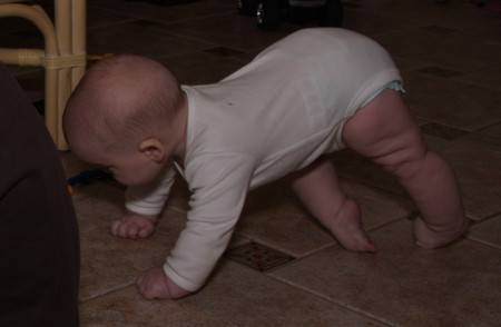Ребенок 6 месяцев не ползает. Ползать на четвереньках. Дети на четвереньках на ногах. Младенец на четвереньках. Младенец ползает на четвереньках.
