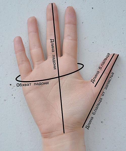 Мерки для варежек и перчаток, фото № 1
