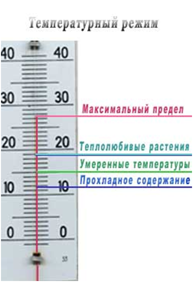 Температурный режим растений. Температура для комнатных растений. Оптимальная температура для комнатных растений. Температурный режим для цветов.