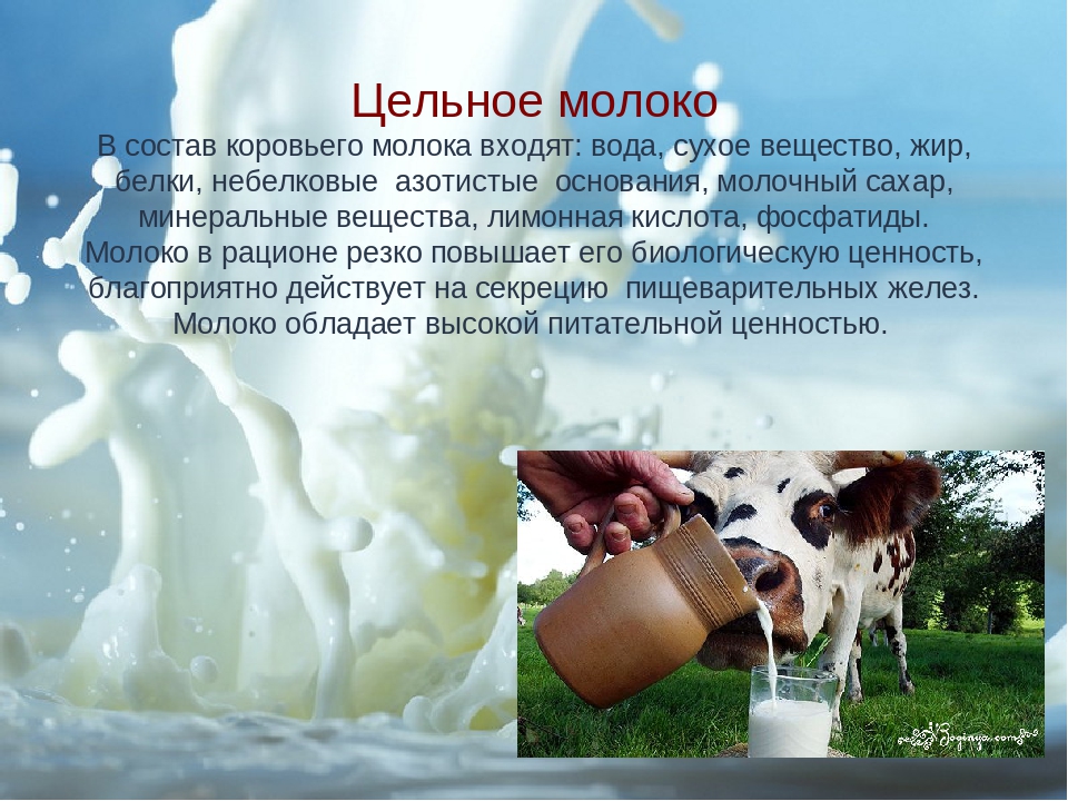 Какой состав молока коровьего. Коровье молоко. Цельное коровье молоко для детей. Корова молоко. Молоко натуральное коровье.