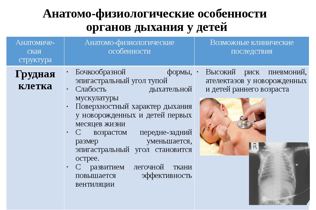 Анатомо физиологические развитие детей