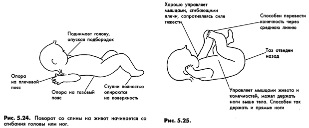 Во сколько начал переворачиваться. Переворот на живот новорожденного. Нормальное положение новорожденного. Во сколько месяцев ребёнок перево. Поворот новорожденного на живот.