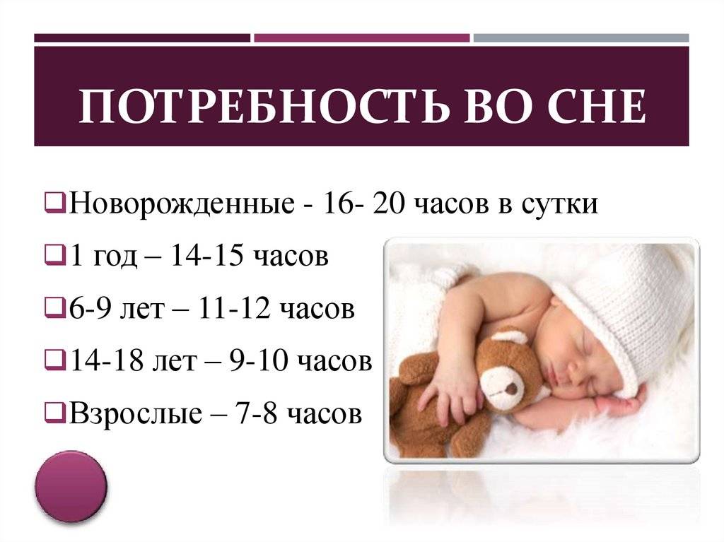 Сколько спят в 10 месяцев. Потребность во сне. Потребность во сне у детей. Сколько должен спать новорожденный ребенок. Продолжительность сна у детей.