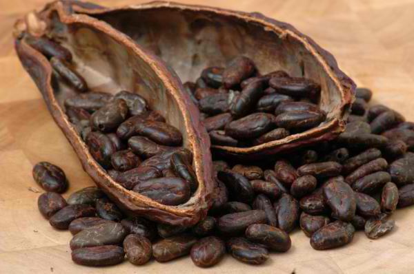 Можно ли какао кормящей маме в первый месяц