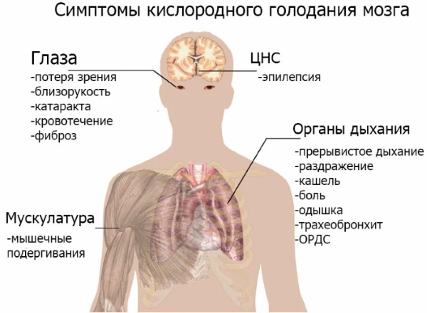 Уровень кислорода в крови. Норма у взрослых, пожилых людей, ребенка, что это значит, как измерить