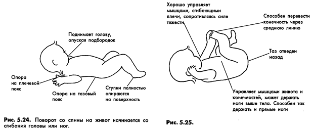 Нормальное положение новорожденного. Переворот на живот новорожденного. Положение новорожденного на животе. Положение ребенка в 3 месяца.