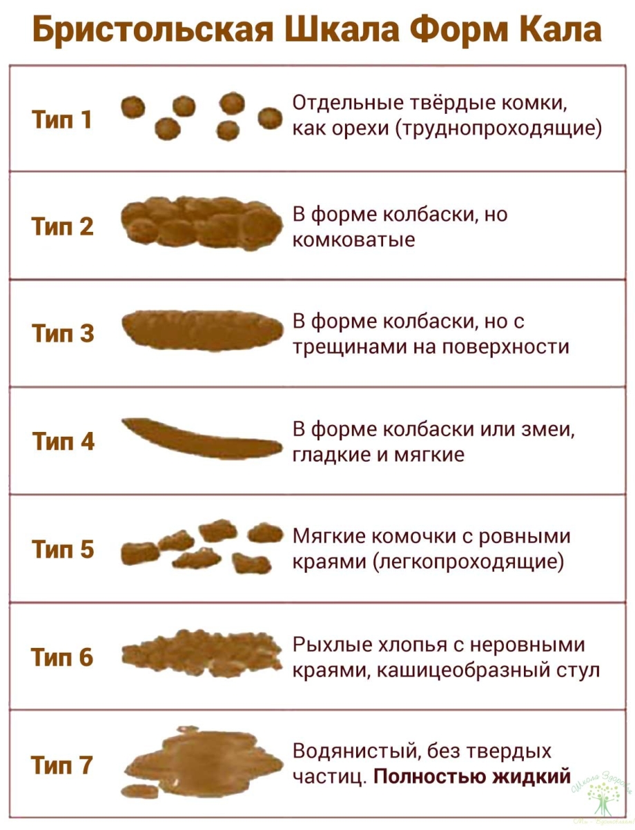 Светлый цвет кала у взрослого человека