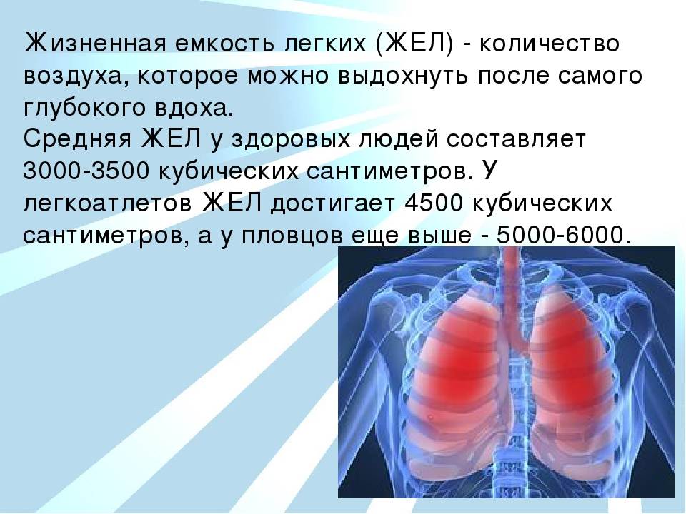 Жизненная емкость это количество воздуха. Объем легких человека. Жизненная ёмкость лёгких (жел). Нормальный объём лёгких здорового человека. Жизненный объём лёгких.