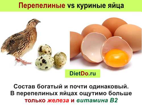 Сколько перепелиных яиц можно взрослому. Куриные и перепелиные яйца. Что полезного в перепелиных яйцах. Полезность перепелиных яиц. Чем полезно перепелиное яйцо.
