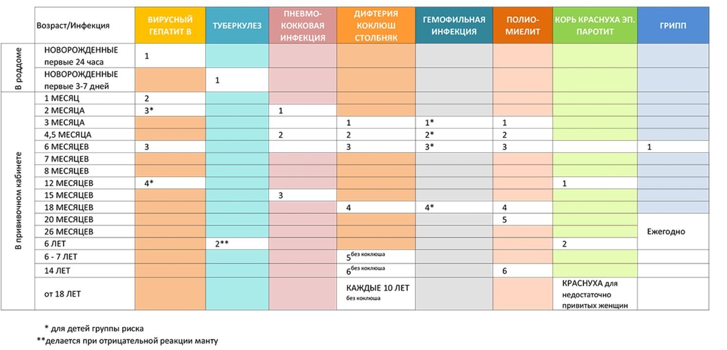 Когда можно ставить манту. График прививок манту для детей по возрасту таблица. Национальный календарь прививок манту. График прививки манту у детей по годам таблица.